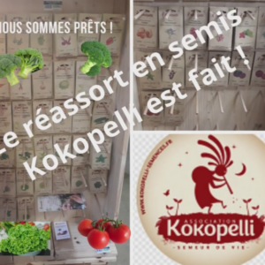 Les semences Kokopelli