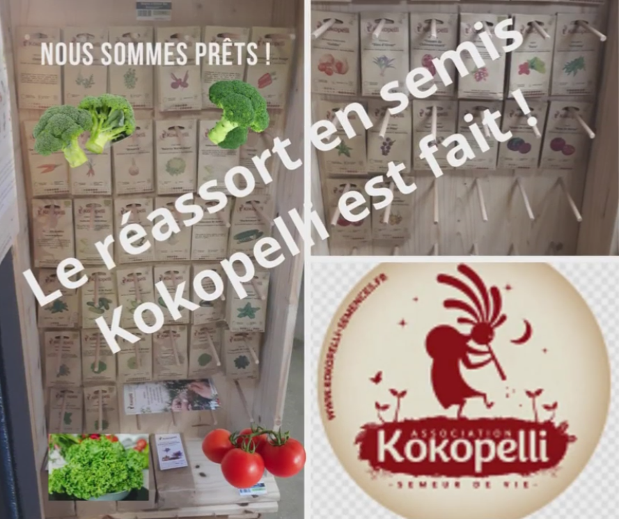 Les semences Kokopelli