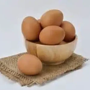 Œufs bio